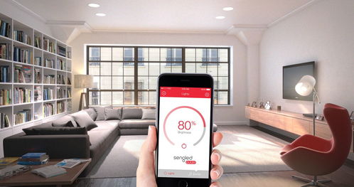 振輝智能照明 賽爾達智能照明